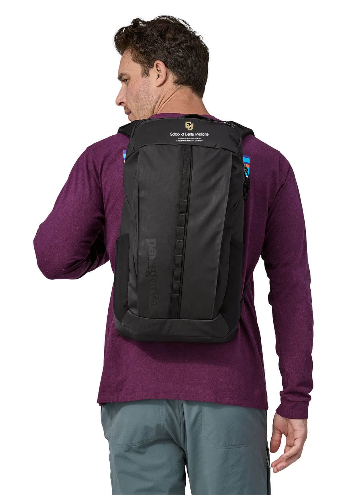 Patagonia Black Hole Pack 25L