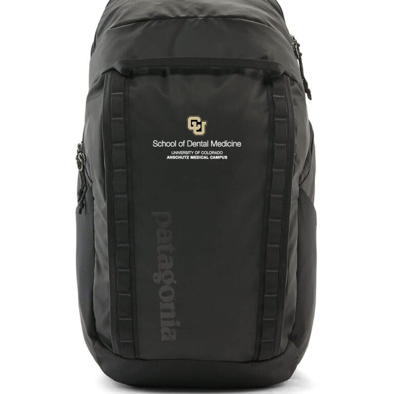 Patagonia Black Hole Pack 32L