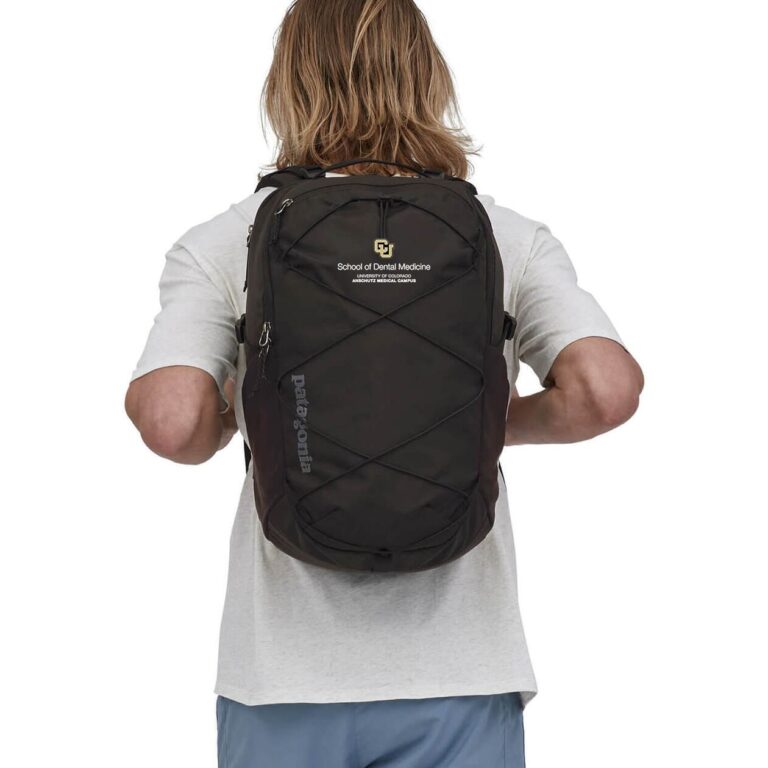 Patagonia Refugio Daypack Backpack 30L