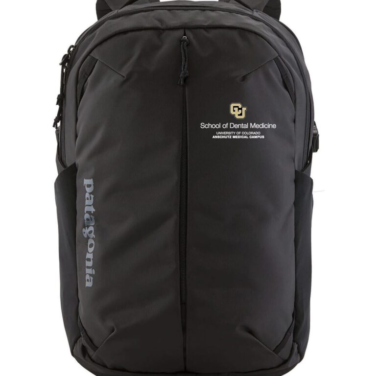 Patagonia Refugio Daypack Backpack 26L